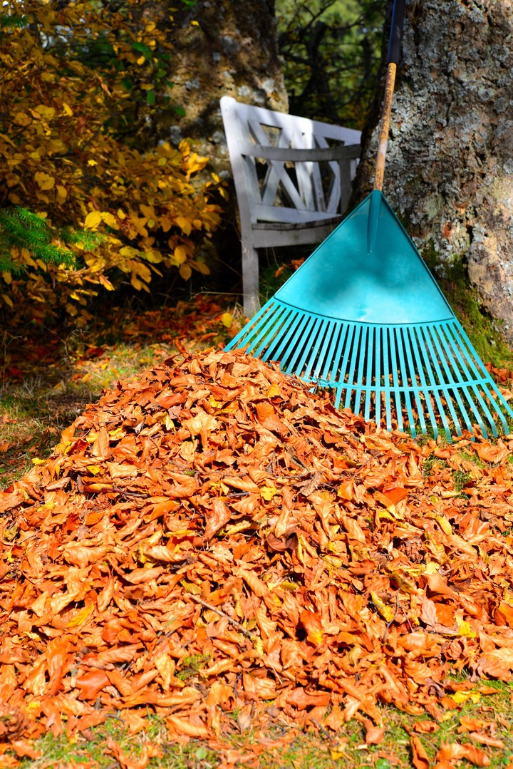 Nova zahrada - jesen